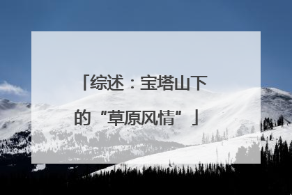 综述：宝塔山下的“草原风情”