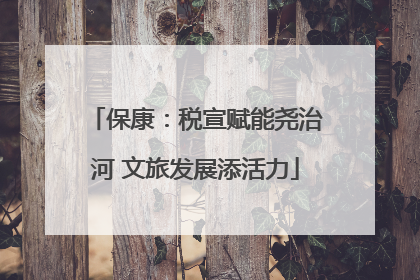 保康：税宣赋能尧治河 文旅发展添活力