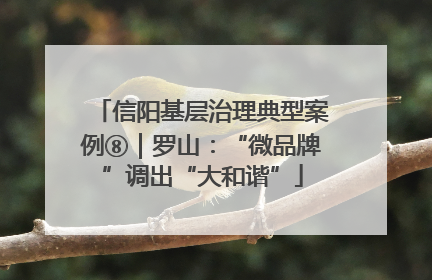 信阳基层治理典型案例⑧｜罗山：“微品牌”调出“大和谐”