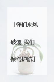 你们乘风破浪 我们保驾护航