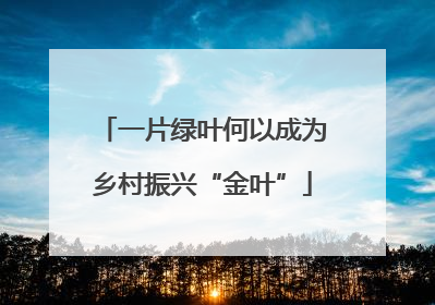 一片绿叶何以成为乡村振兴“金叶”