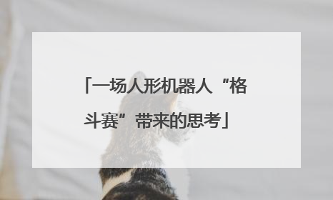 一场人形机器人“格斗赛”带来的思考