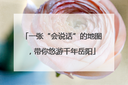 一张“会说话”的地图，带你悠游千年岳阳
