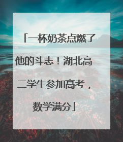 一杯奶茶点燃了他的斗志！湖北高二学生参加高考，数学满分
