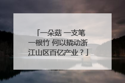一朵菇 一支笔 一根竹 何以撬动浙江山区百亿产业？