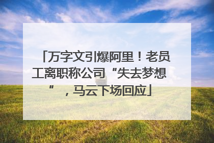 万字文引爆阿里！老员工离职称公司“失去梦想”，马云下场回应