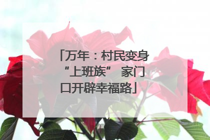 万年：村民变身“上班族” 家门口开辟幸福路