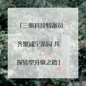 三级科技特派员齐聚咸宁茶园 共探转型升级之路