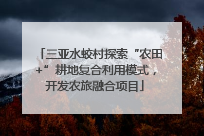 三亚水蛟村探索“农田+”耕地复合利用模式，开发农旅融合项目
