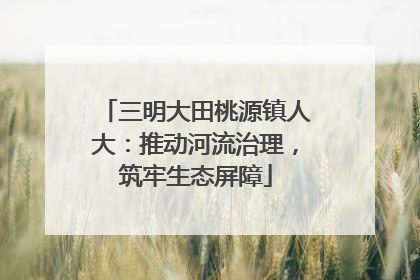 三明大田桃源镇人大：推动河流治理，筑牢生态屏障