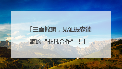 三面锦旗，见证振森能源的“非凡合作”！