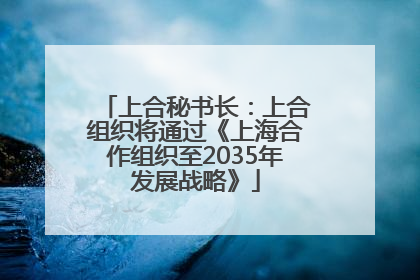 上合秘书长：上合组织将通过《上海合作组织至2035年发展战略》