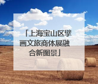上海宝山区擘画文旅商体展融合新图景