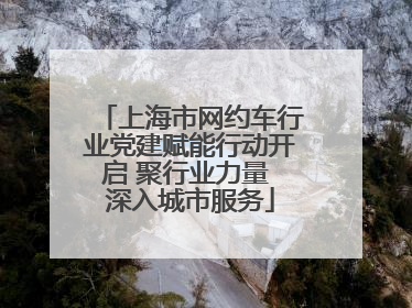 上海市网约车行业党建赋能行动开启 聚行业力量 深入城市服务