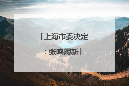 上海市委决定：张鸣履新