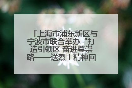 上海市浦东新区与宁波市联合举办“打造引领区 奋进尊崇路——送烈士精神回家乡”主题活动
