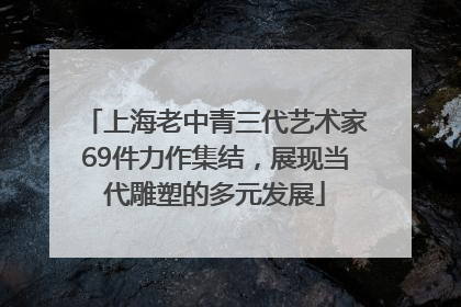 上海老中青三代艺术家69件力作集结，展现当代雕塑的多元发展