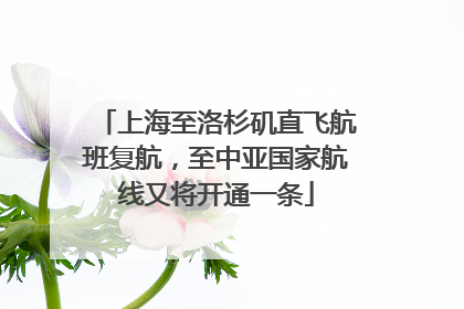 上海至洛杉矶直飞航班复航，至中亚国家航线又将开通一条