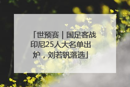 世预赛｜国足客战印尼25人大名单出炉，刘若钒落选