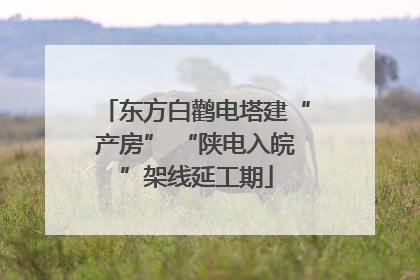 东方白鹳电塔建“产房” “陕电入皖”架线延工期