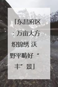 东昌府区：万亩大方织锦绣 沃野平畴好“丰”景