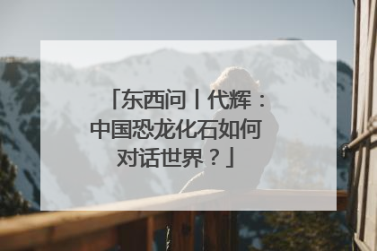 东西问丨代辉：中国恐龙化石如何对话世界？