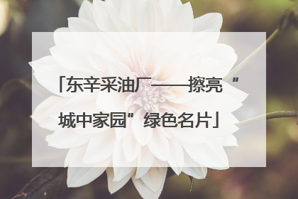 东辛采油厂——擦亮“城中家园”绿色名片