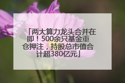 两大算力龙头合并在即！500余只基金重仓押注，持股总市值合计超380亿元