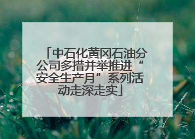 中石化黄冈石油分公司多措并举推进“安全生产月”系列活动走深走实