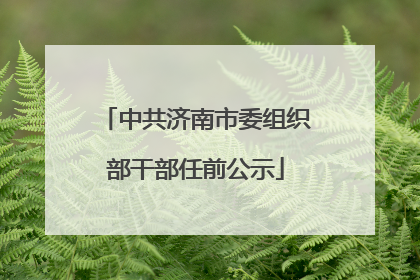 中共济南市委组织部干部任前公示