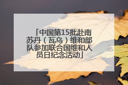 中国第15批赴南苏丹（瓦乌）维和部队参加联合国维和人员日纪念活动