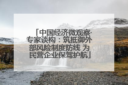 中国经济微观察·专家谈构：筑抵御外部风险制度防线 为民营企业保驾护航