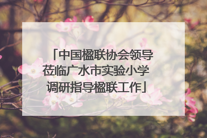 中国楹联协会领导莅临广水市实验小学调研指导楹联工作