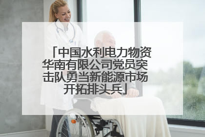 中国水利电力物资华南有限公司党员突击队勇当新能源市场开拓排头兵