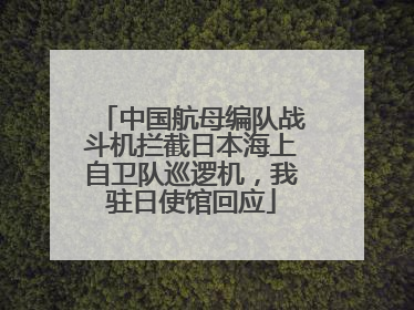 中国航母编队战斗机拦截日本海上自卫队巡逻机，我驻日使馆回应