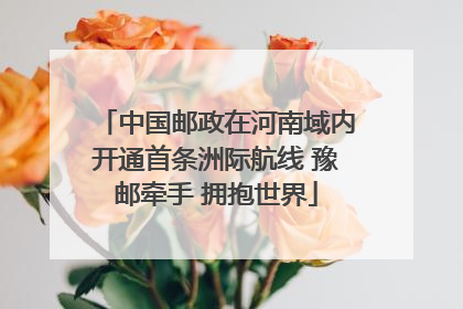 中国邮政在河南域内开通首条洲际航线 豫邮牵手 拥抱世界