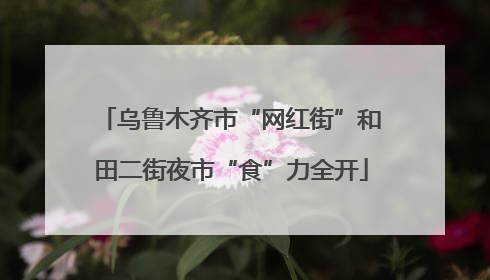 乌鲁木齐市“网红街”和田二街夜市“食”力全开