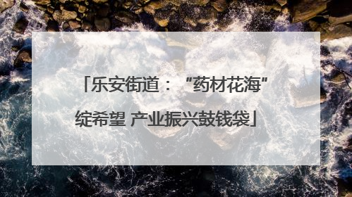 乐安街道：“药材花海”绽希望 产业振兴鼓钱袋