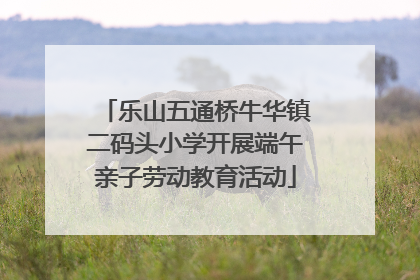 乐山五通桥牛华镇二码头小学开展端午亲子劳动教育活动