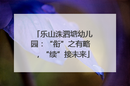乐山洙泗塘幼儿园：“衔”之有略，“续”接未来