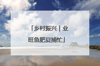 乡村振兴｜业旺鱼肥夏捕忙