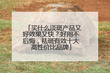 买什么淡斑产品又好效果又快？好用不后悔，祛斑有效十大高性价比品牌