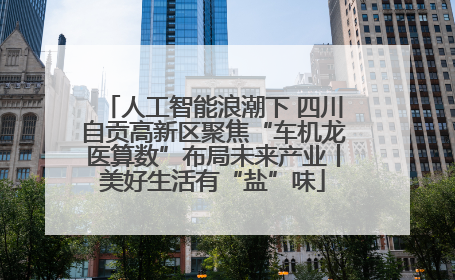 人工智能浪潮下 四川自贡高新区聚焦“车机龙医算数”布局未来产业丨美好生活有“盐”味