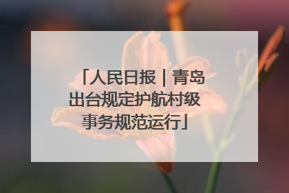 人民日报｜青岛出台规定护航村级事务规范运行