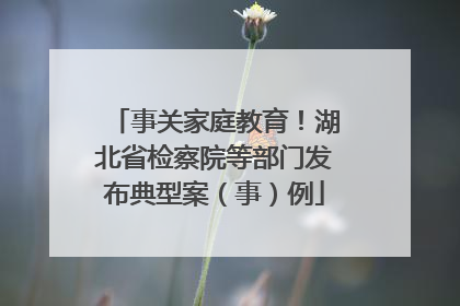 事关家庭教育！湖北省检察院等部门发布典型案（事）例