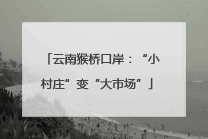 云南猴桥口岸：“小村庄”变“大市场”