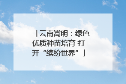 云南嵩明：绿色优质种苗培育 打开“缤纷世界”