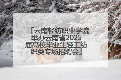 云南轻纺职业学院举办云南省2025届高校毕业生轻工纺织类专场招聘会