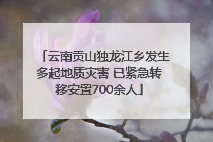云南贡山独龙江乡发生多起地质灾害 已紧急转移安置700余人