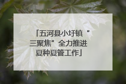 五河县小圩镇“三聚焦”全力推进夏种夏管工作
